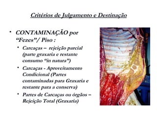 Critérios de Julgamento e Destinação
 CONTAMINAÇÃO por
“Fezes”/ Piso :
 Carcaças – rejeição parcial
(parte graxaria e restante
consumo “in natura”)
 Carcaças - Aproveitamento
Condicional (Partes
contaminadas para Graxaria e
restante para a conserva)
 Partes de Carcaças ou órgãos –
Rejeição Total (Graxaria)
 