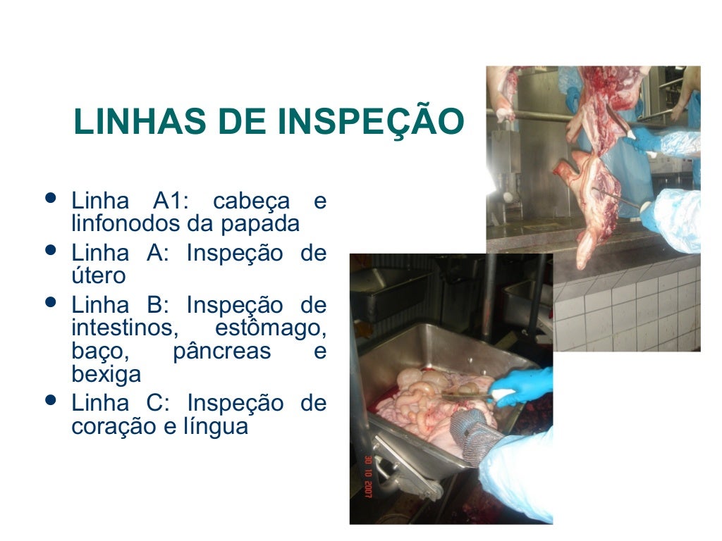 linha-de-inspe-o-bovinos-retoedu