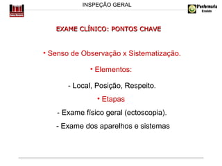 INSPEÇÃO GERAL

EXAME CLÍNICO: PONTOS CHAVE

• Senso de Observação x Sistematização.
• Elementos:
- Local, Posição, Respeito.
• Etapas
- Exame físico geral (ectoscopia).
- Exame dos aparelhos e sistemas

 