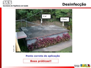 Cloro
Cal
Ponto correto de aplicação
Fonte:UFV
Desinfecção
Boas práticas!!
 