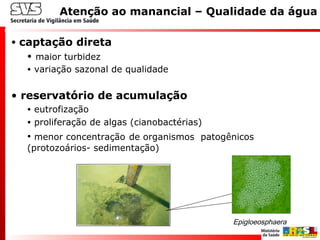 • captação direta
• maior turbidez
• variação sazonal de qualidade
• reservatório de acumulação
• eutrofização
• proliferação de algas (cianobactérias)
• menor concentração de organismos patogênicos
(protozoários- sedimentação)
Atenção ao manancial – Qualidade da água
Epigloeosphaera
 