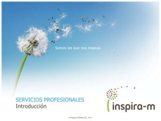 Somos los que nos inspiras




SERVICIOS PROFESIONALES
Introducción
                    © Adequa Software SL, 2011
 