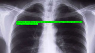 O oxigênio contido no ar entra em contato com o sangue mediante um aparelho
denominado respiratório.
 