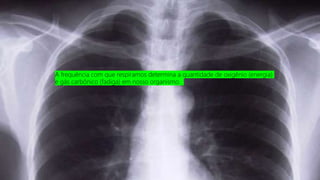 A frequência com que respiramos determina a quantidade de oxigênio (energia)
e gás carbônico (fadiga) em nosso organismo.
 