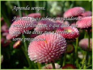 Aprenda sempre. Aprenda mais sobre computadores, artes, jardinagem, o que quer que seja. Não deixe que o cérebro se torne preguiçoso. 