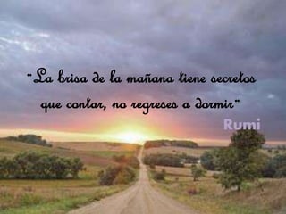 Rumi
¨La brisa de la mañana tiene secretos
que contar, no regreses a dormir¨
 