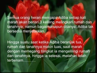 Semua orang heran mengapa Adiba setiap kali
marah akan berlari 3 keliling melingkari rumah dan
tanahnya, namun bagaimanapun ditanya, Adiba tak
bersedia menjelaskan.
Hingga suatu saat ketika Adiba beranjak tua,
rumah dan tanahnya makin luas, saat marah
dengan memegang tongkat ia mengelilingi rumah
dan tanahnya, hingga ia selesai, matahari telah
terbenam……….

 