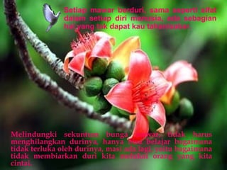 Setiap mawar berduri, sama seperti sifat
dalam setiap diri manusia, ada sebagian
hal yang tak dapat kau tahan/sabar.

Melindungki sekuntum bunga mawar, tidak harus
menghilangkan durinya, hanya bisa belajar bagaimana
tidak terluka oleh durinya, masi ada lagi, yaitu bagaimana
tidak membiarkan duri kita melukai orang yang kita
cintai.

 