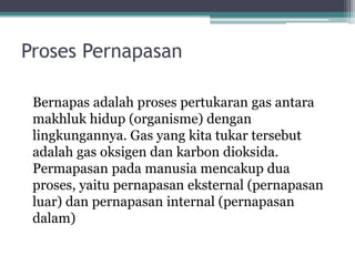 Proses Pernapasan
Bernapas adalah proses pertukaran gas antara
makhluk hidup (organisme) dengan
lingkungannya. Gas yang kita tukar tersebut
adalah gas oksigen dan karbon dioksida.
Permapasan pada manusia mencakup dua
proses, yaitu pernapasan eksternal (pernapasan
luar) dan pernapasan internal (pernapasan
dalam)
 