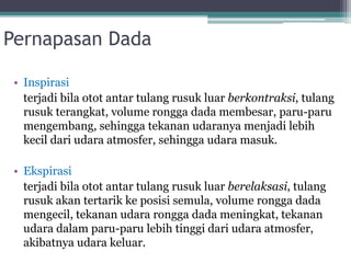 Pernapasan Dada
• Inspirasi
terjadi bila otot antar tulang rusuk luar berkontraksi, tulang
rusuk terangkat, volume rongga dada membesar, paru-paru
mengembang, sehingga tekanan udaranya menjadi lebih
kecil dari udara atmosfer, sehingga udara masuk.
• Ekspirasi
terjadi bila otot antar tulang rusuk luar berelaksasi, tulang
rusuk akan tertarik ke posisi semula, volume rongga dada
mengecil, tekanan udara rongga dada meningkat, tekanan
udara dalam paru-paru lebih tinggi dari udara atmosfer,
akibatnya udara keluar.
 
