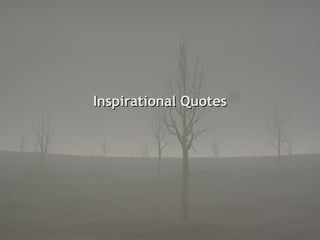 Inspirational Quotes 