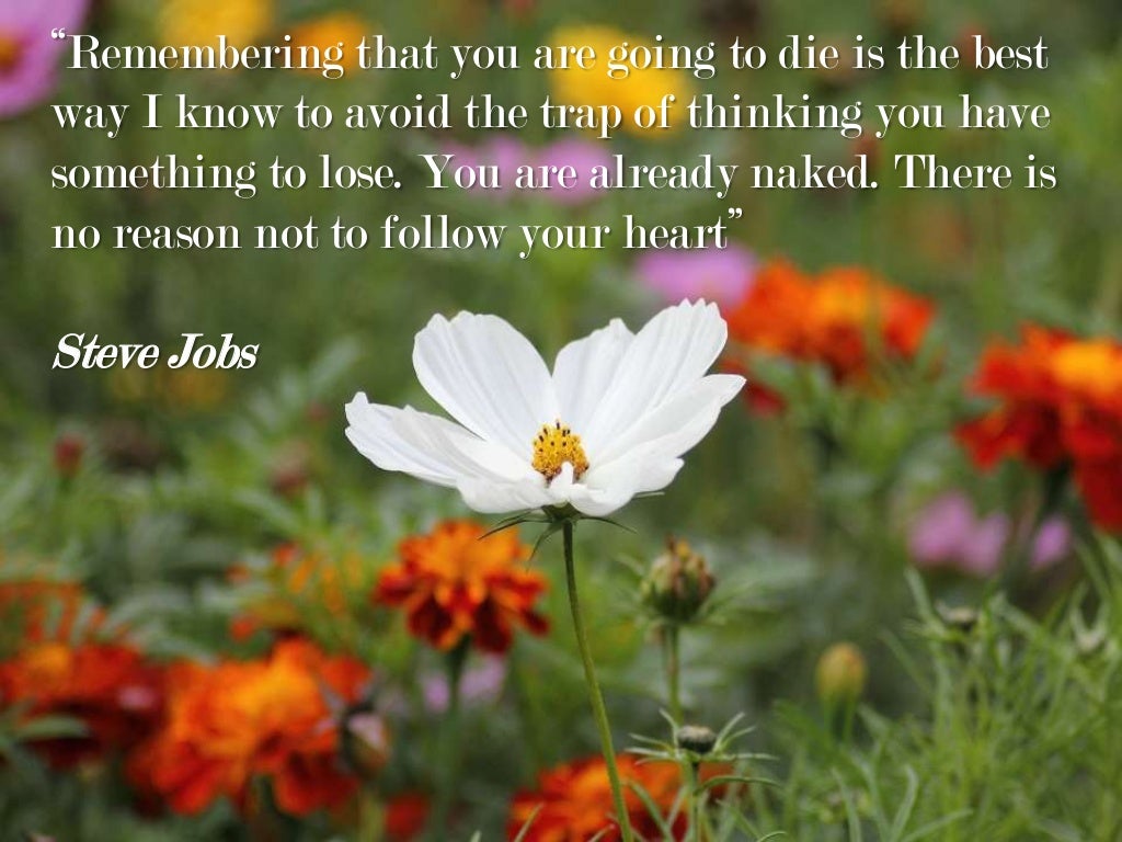 50 Of The Most Inspirational Quotes Of All Time