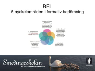 BFL 5 nyckelområden i formativ bedömning 
