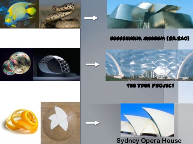 SYDNEY OPERA HOUSE- INSPIRED BY NATURE SYDNEY OPERA HOUSE- INSPIRED BY NATURE