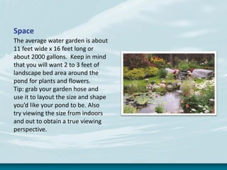 Space
The average water garden is about
11 feet wide x 16 feet long or
about 2000 gallons. Keep in mind
that you will want 2 to 3 feet of
landscape bed area around the
pond for plants and flowers.
Tip: grab your garden hose and
use it to layout the size and shape
you’d like your pond to be. Also
try viewing the size from indoors
and out to obtain a true viewing
perspective.
 