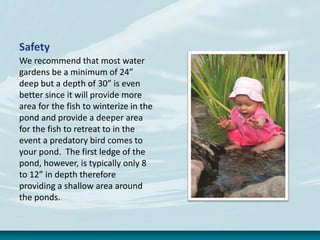 Safety
We recommend that most water
gardens be a minimum of 24”
deep but a depth of 30” is even
better since it will provide more
area for the fish to winterize in the
pond and provide a deeper area
for the fish to retreat to in the
event a predatory bird comes to
your pond. The first ledge of the
pond, however, is typically only 8
to 12” in depth therefore
providing a shallow area around
the ponds.
 