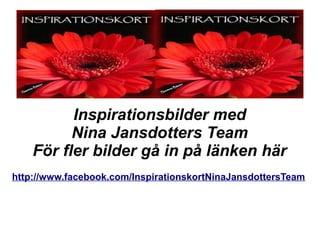 Inspirationsbilder med
          Nina Jansdotters Team
    För fler bilder gå in på länken här
http://www.facebook.com/InspirationskortNinaJansdottersTeam
 