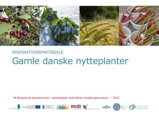 INSPIRATIONSMATERIALE
Gamle danske nytteplanter
Af Østjyllands Spisekammer i samarbejde med Dansk Landbrugsmuseum ◦ 2015
 