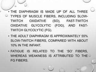 • THE DIAPHRAGM IS MADE UP OF ALL THREE
TYPES OF MUSCLE FIBERS, INCLUDING SLOW-
TWITCH OXIDATIVE (SO), FAST-TWITCH
OXIDATIVE GLYCOLYTIC (FOG), AND FAST-
TWITCH GLYCOLYTIC (FG).
• THE ADULT DIAPHRAGM IS APPROXIMATELY 55%
SLOW-TWITCH FIBERS, COMPARED WITH ABOUT
10% IN THE INFANT.
• FATIGUE IS RELATED TO THE ‘SO’ FIBERS,
WHEREAS WEAKNESS IS ATTRIBUTED TO THE
FG FIBERS.
 