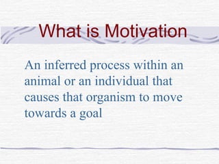 What is Motivation
An inferred process within an
animal or an individual that
causes that organism to move
towards a goal
 