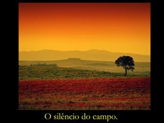 O silêncio do campo.

 