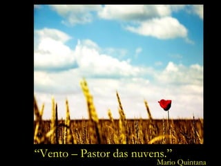 “Vento – Pastor das nuvens.”“Vento – Pastor das nuvens.”
Mario Quintana
 