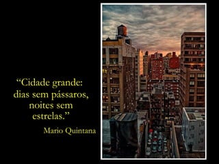 “Cidade grande:
dias sem pássaros,
noites sem
estrelas.”
Mario Quintana
 