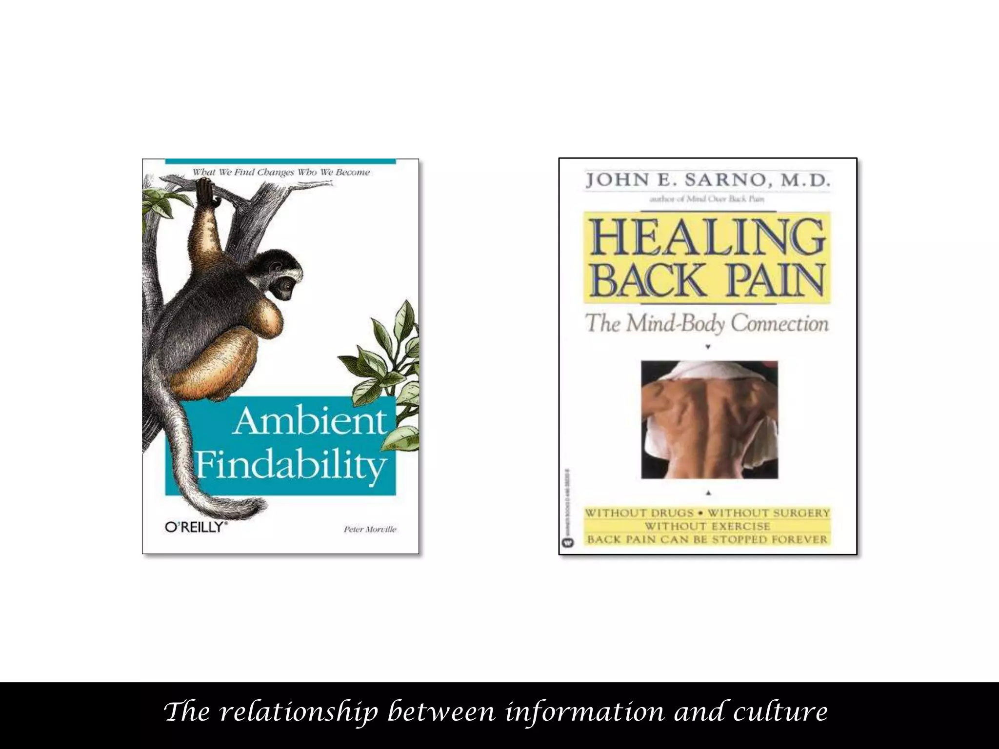 The relationship between information and 50
culture

 