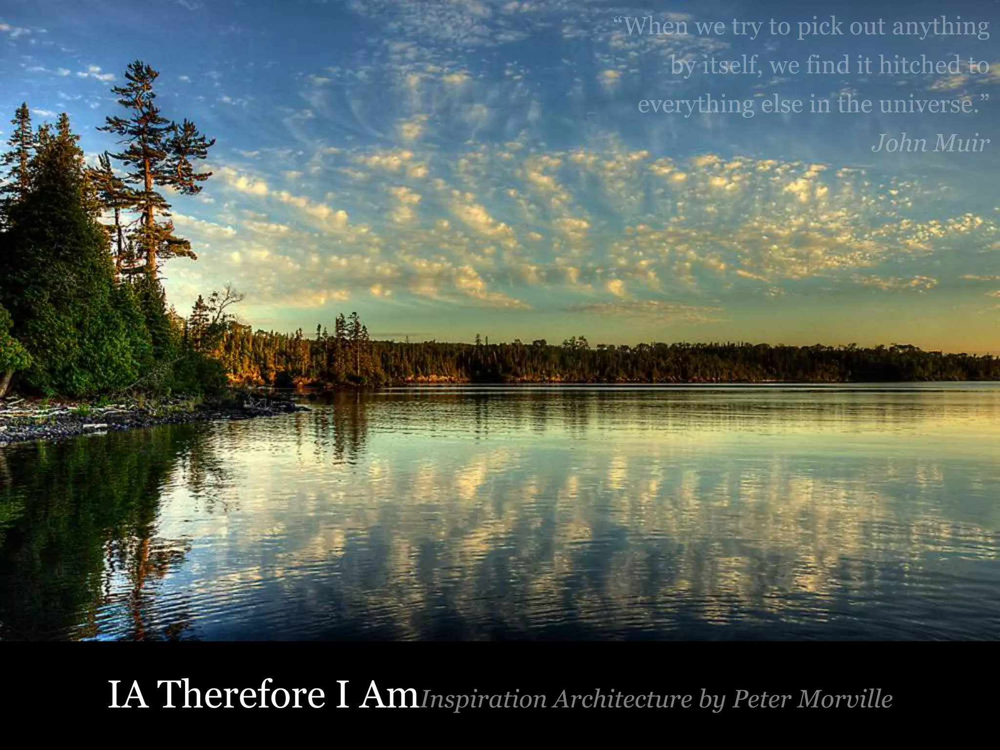 IA Therefore I Am

67

 