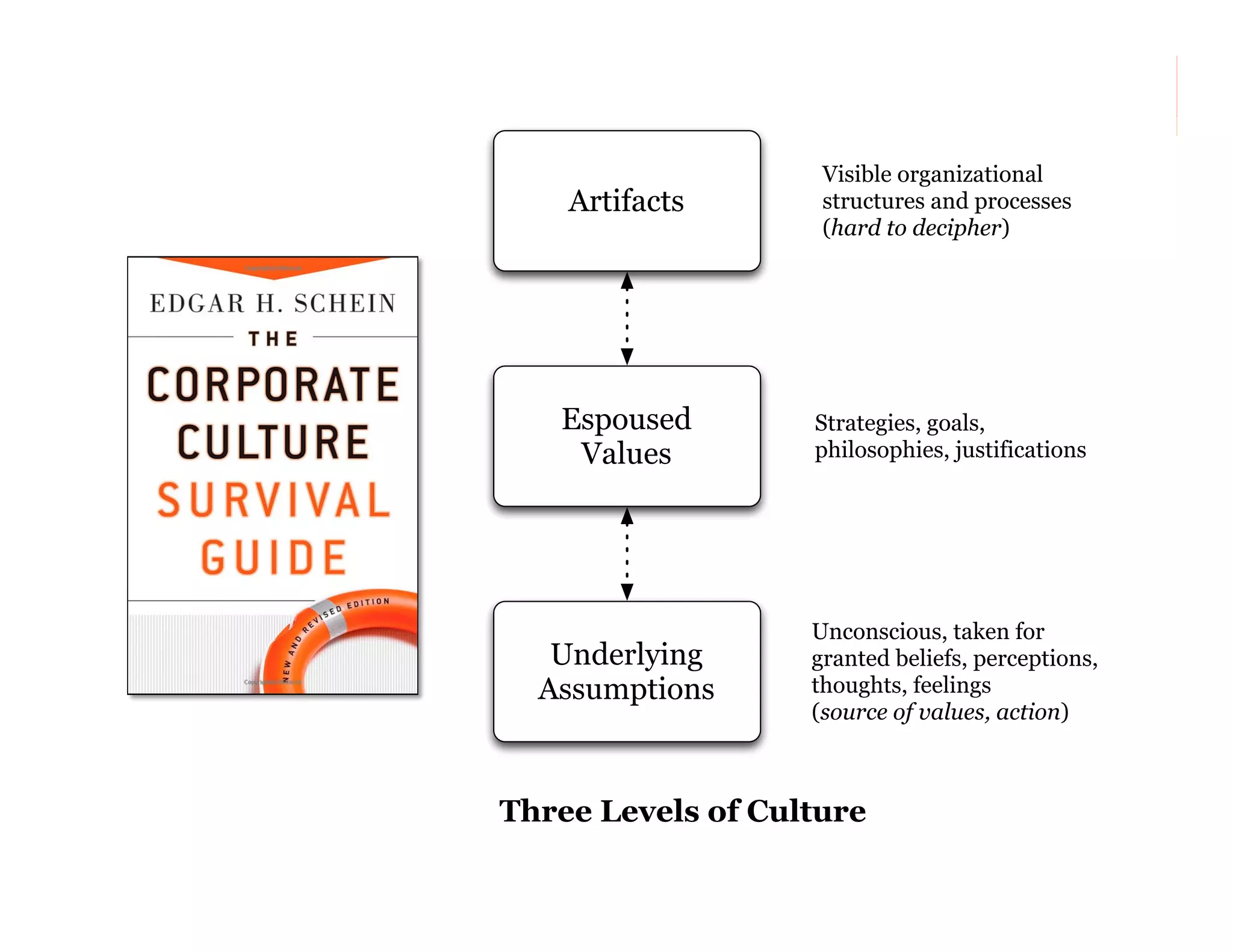 Artifacts

Visible organizational
structures and processes
(hard to decipher)

Espoused
Values

Strategies, goals,
philosophies, justifications

Underlying
Assumptions

Unconscious, taken for
granted beliefs, perceptions,
thoughts, feelings
(source of values, action)

Three Levels of Culture

42

 