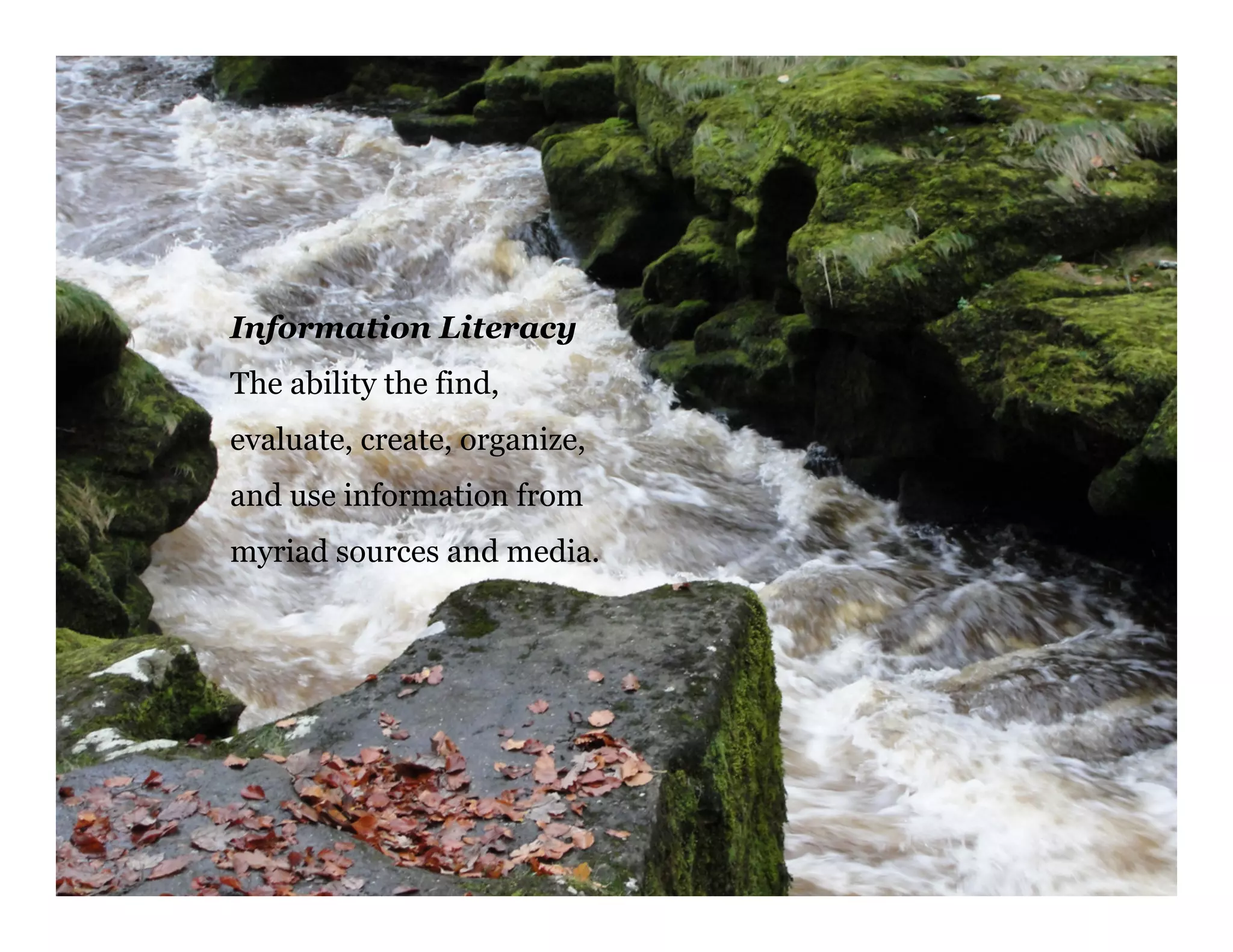 Information Literacy
The ability the find,
evaluate, create, organize,
and use information from
myriad sources and media.

44

 