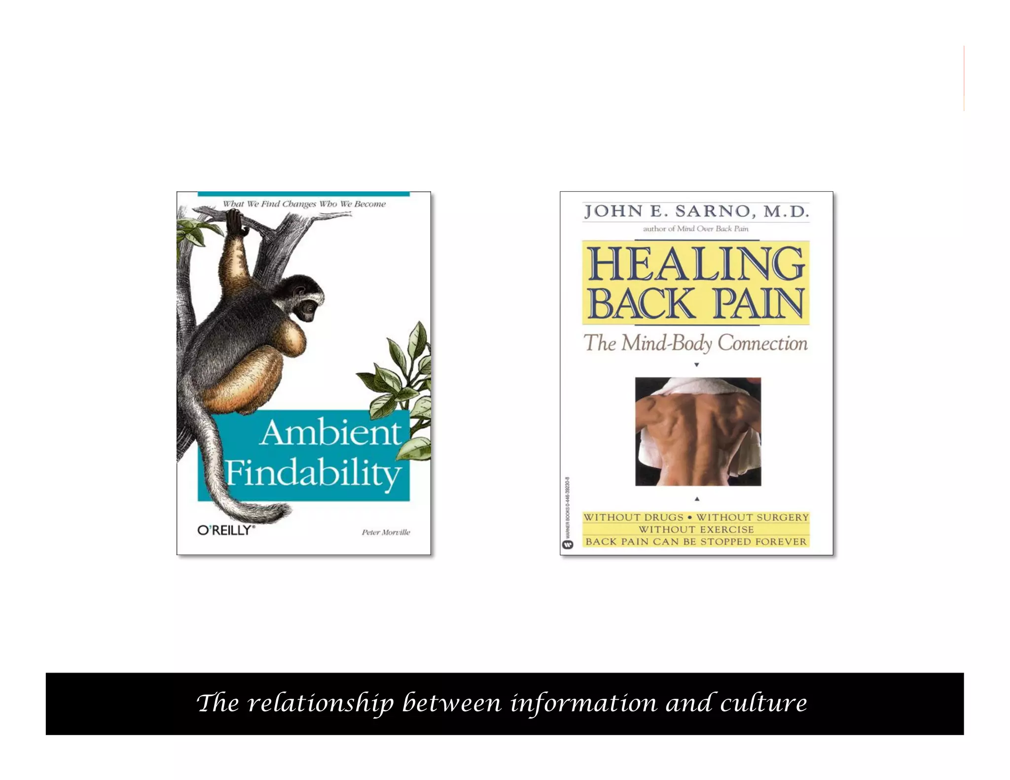 The relationship between information and 50
culture

 