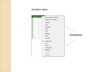 Introducir datos Posibilidades 