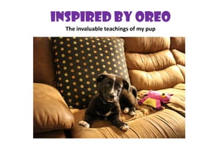 Inspired By Oreo
The invaluable teachings of my pup
 