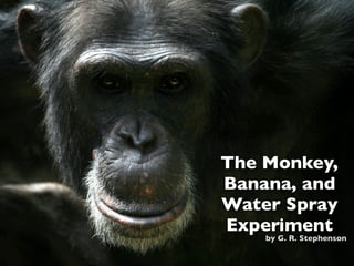 The Monkey,
Banana, and
Water Spray
Experiment
    by G. R. Stephenson
 