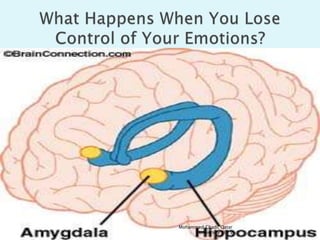 Mohammed Chadi, Qatar
University 2015
 