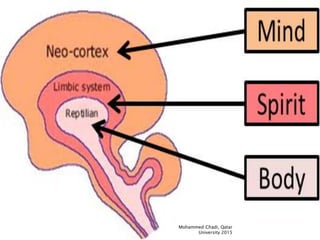 Mohammed Chadi, Qatar
University 2015
 