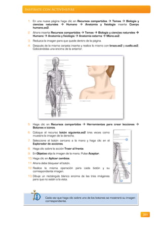 Inspírate con ActivInspire


 1. En una nueva página haga clic en Recursos compartidos  Temas  Biología y
    ciencias naturales  Humano  Anatomía y fisiología inserte Cuerpo
    humano.as2.
 2. Ahora inserte Recursos compartidos  Temas  Biología y ciencias naturales 
    Humano  Anatomía y fisiología  Anatomía externa  Mano.as2.
 3. Reduzca la imagen para que quede dentro de la página.
 4. Después de la misma carpeta inserte y realice lo mismo con brazo.as2 y cuello.as2.
    Colocándolas una encima de la anterior.




 5. Haga clic en Recursos compartidos  Herramientas para crear lecciones 
    Botones e iconos.
 6. Coloque el recurso botón siguiente.as2 tres veces como
    muestra la imagen de la derecha.
 7. Seleccione el botón cercano a la mano y haga clic en el
    Explorador de acciones.
 8. Haga clic sobre la acción Traer al frente.
 9. En Objetivo elija la imagen de la mano. Pulse Aceptar.
 10. Haga clic en Aplicar cambios.
 11. Ahora debe bloquear el botón.
 12. Realice la misma operación para cada botón y su
     correspondiente imagen.
 13. Dibuje un rectángulo blanco encima de las tres imágenes
     para que no estén a la vista.




              Cada vez que haga clic sobre uno de los botones se mostrará su imagen
              correspondiente.



                                                                                         205
 