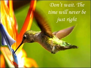 Don’t wait. The time will never be just right 