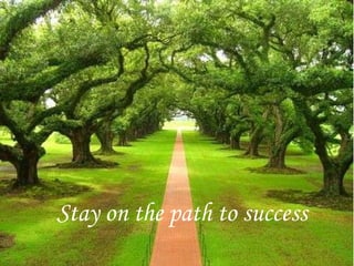 Stay on the path to success 
