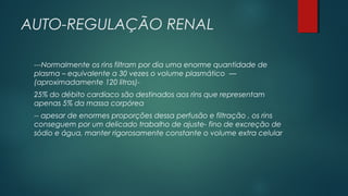 AUTO-REGULAÇÃO RENAL
---Normalmente os rins filtram por dia uma enorme quantidade de
plasma – equivalente a 30 vezes o volume plasmático —
(aproximadamente 120 litros)-
25% do débito cardíaco são destinados aos rins que representam
apenas 5% da massa corpórea
-- apesar de enormes proporções dessa perfusão e filtração , os rins
conseguem por um delicado trabalho de ajuste- fino de excreção de
sódio e água, manter rigorosamente constante o volume extra celular
 