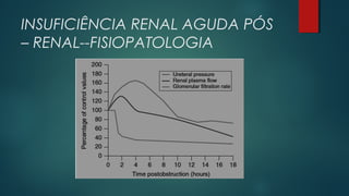 INSUFICIÊNCIA RENAL AGUDA PÓS
– RENAL--FISIOPATOLOGIA
 