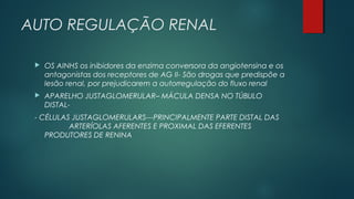 AUTO REGULAÇÃO RENAL
 OS AINHS os inibidores da enzima conversora da angiotensina e os
antagonistas dos receptores de AG II- São drogas que predispõe a
lesão renal, por prejudicarem a autorregulação do fluxo renal
 APARELHO JUSTAGLOMERULAR– MÁCULA DENSA NO TÚBULO
DISTAL-
- CÉLULAS JUSTAGLOMERULARS---PRINCIPALMENTE PARTE DISTAL DAS
ARTERÍOLAS AFERENTES E PROXIMAL DAS EFERENTES
PRODUTORES DE RENINA
 