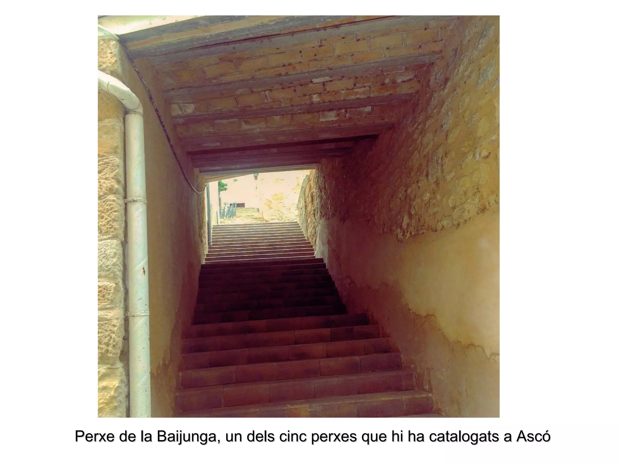Perxe de la Baijunga, un dels cinc perxes que hi ha catalogats a AscóPerxe de la Baijunga, un dels cinc perxes que hi ha catalogats a Ascó
 