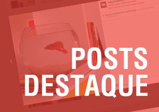 Instagram Marekting - Relatórios | Maratona Digital