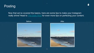 Posting
Now that we’ve covered the basics, here are some tips to make your Instagram
really shine! Head to The Daily Rind for even more tips on perfecting your content.
Before After
 