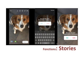 Fonctions:	Stories	
 
