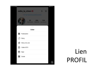 Lien	
PROFIL	
 