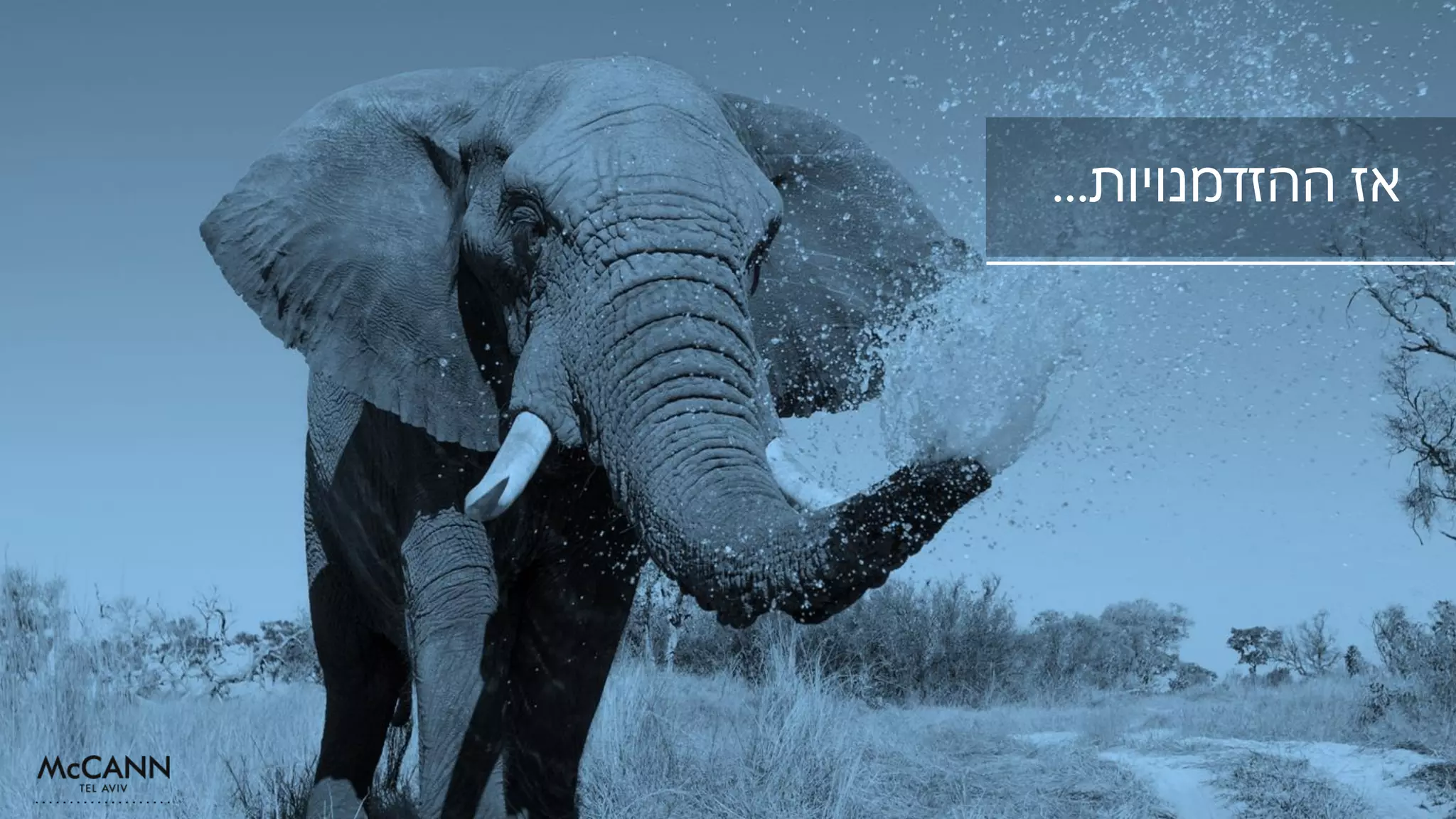 ‫ההזדמנויות‬ ‫אז‬…
 