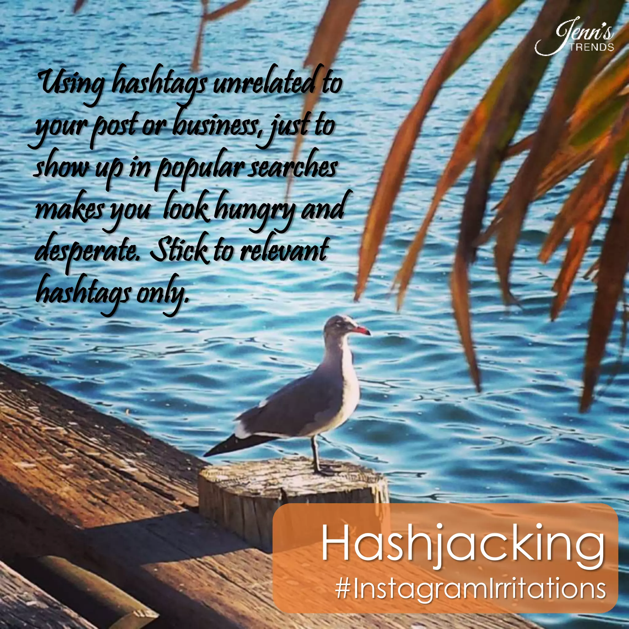 Using hashtags unrelated to 
your post or business, just to 
show up in popular searches 
makes you look hungry and 
desperate. Stick to relevant 
hashtags only. 
Hashjacking 
#InstagramIrritations 
 